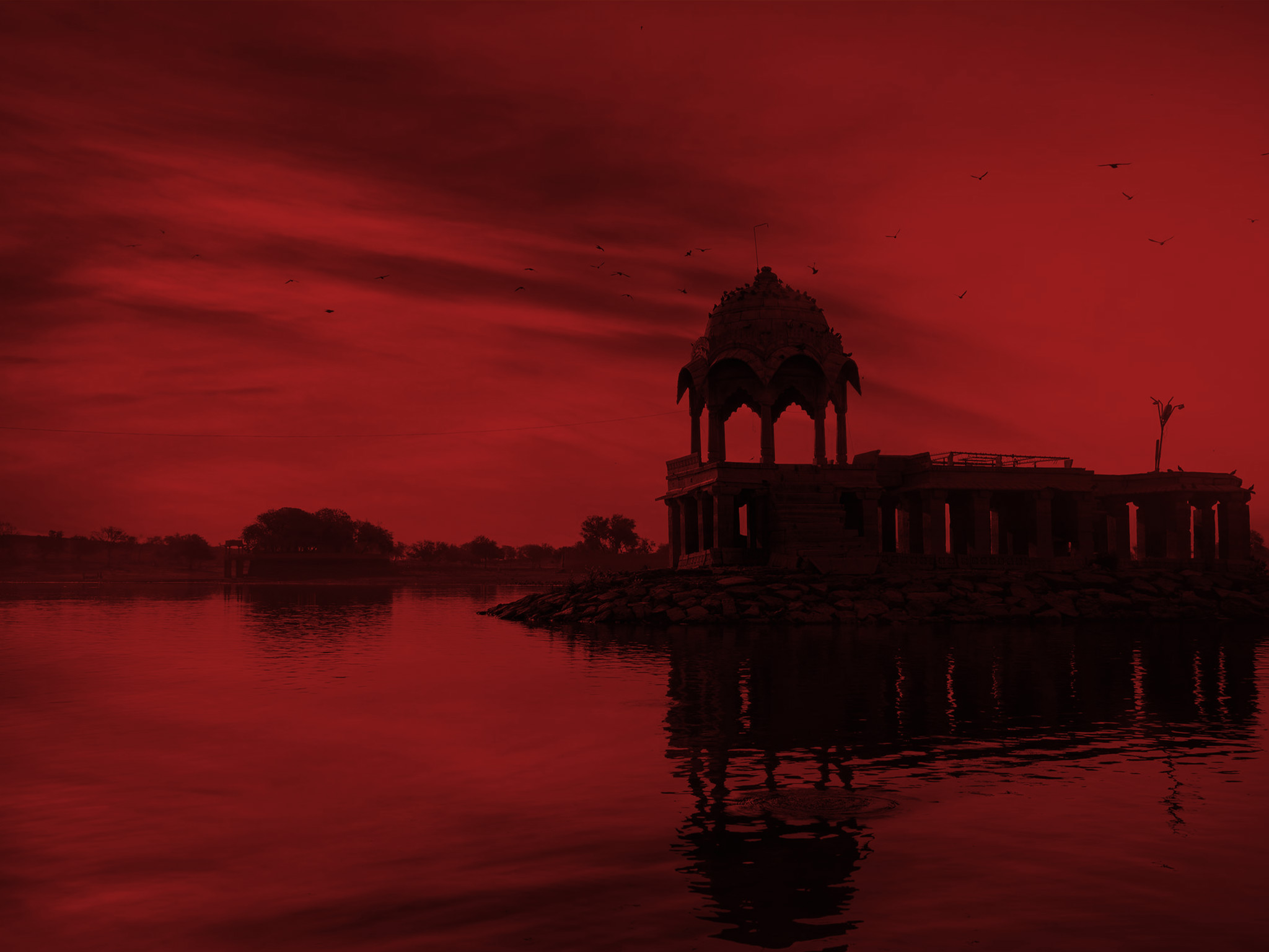 Udaipur Yoga & Wellness